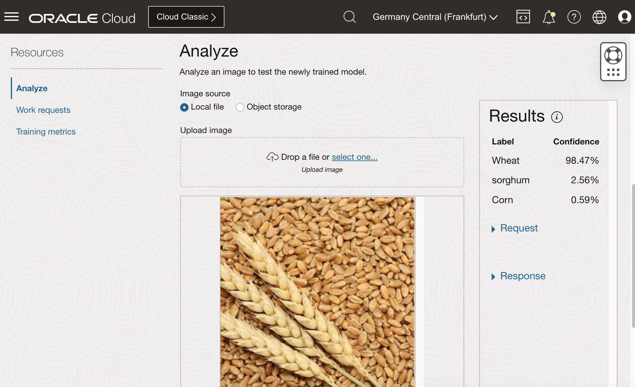 Predizione OCI Vision per grano